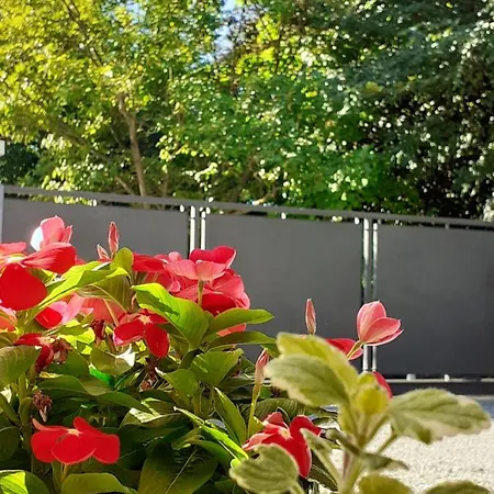 Bed & Breakfast Bon'ora Volpago del Montello